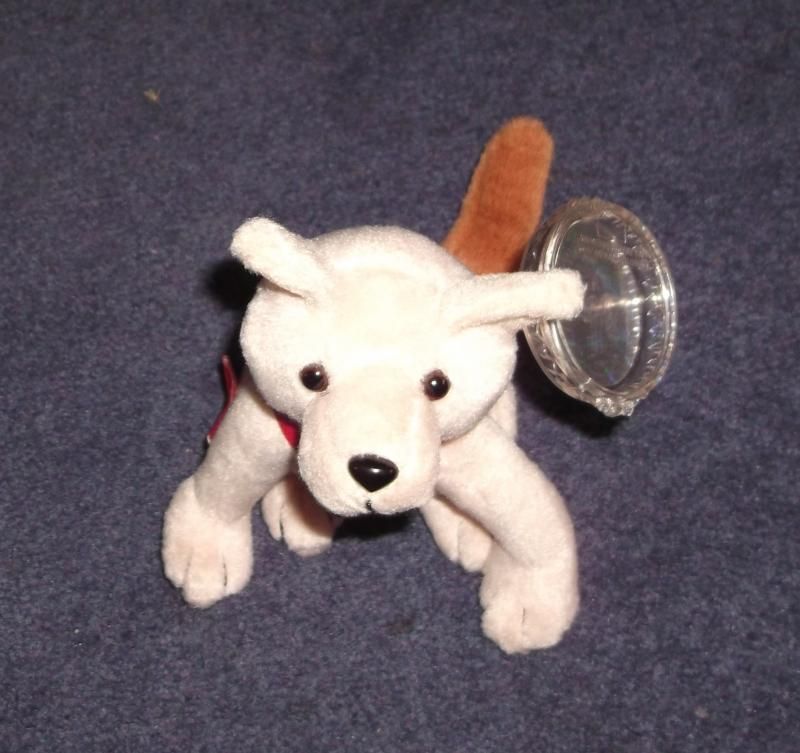 DSCF2357.jpg