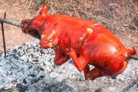 17530360-grilled-pig.jpg